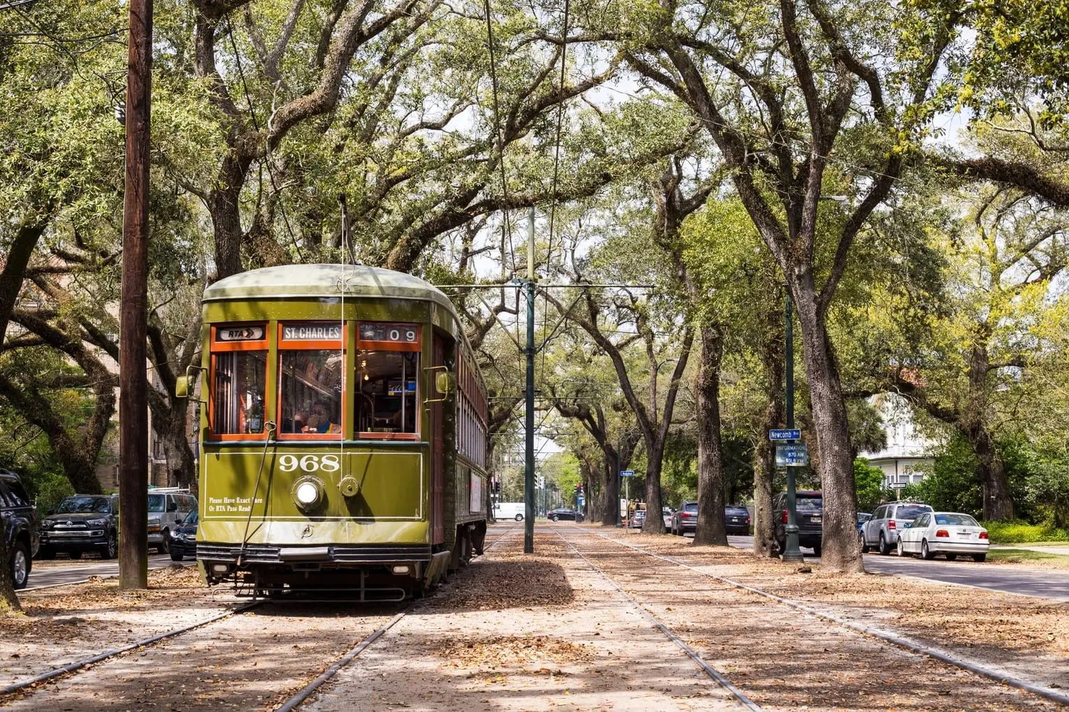 A vintage streetcar passing under arching oak trees